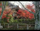 2012年11月21日京都紅葉スポット.wmv