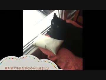 カナダの牛乳の袋