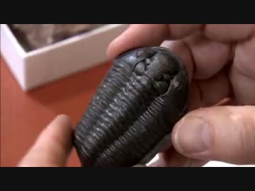 地球大進化「第03集 大海からの離脱」(01 of 02)