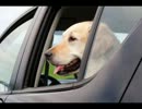 【おっさんが選ぶ】Drivin' Groove 2 （ＣＭ曲ぶっ込んでみた）