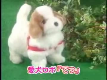 愛犬ザコ「闇野」