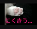 91.美人さん、肉球にイタズラ書きをされる。The beauty is scribbled on her pad.