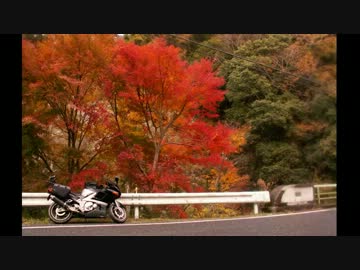 房総の紅葉を見にいこうよう！