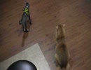 猫だ！ＰＡＲＫの姉妹店？【猫だ！カフェ】その7