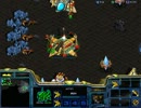 【StarCraft】スタークラフト プロトス編単発実況プレイ1