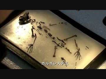 地球大進化「第05集 大陸大分裂」(01 of 02)