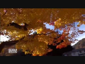 日本一綺麗な紅葉を見に行ったら遭難した【前編】