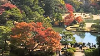 六義園　紅葉