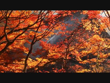 魅知の旅～信濃奇秋録