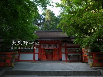 【高画質】古社の風景 ～山城 大原野神社～