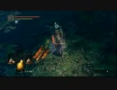 目指せ格闘王！ダークソウル格闘武器縛り Part16【字幕】