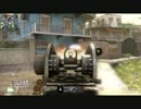 【実況】88回やったるで！２５幕～COD:Bo2パート１～