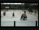 Hockey Fight