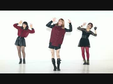 【光速猫仮面】 ハナミズキ 【ODOROOM】