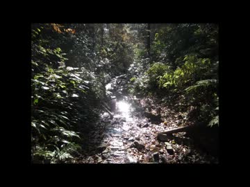 2012/12/2　自転車で高尾山に行ってみた。