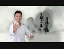 ドニー・イェン2012年CM功夫編