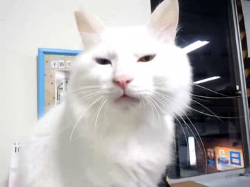 １日の終わりに､悩みを聞いてくれるモコちゃん