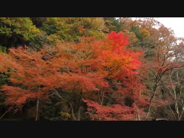 【冬】ぶら散歩2012-4【のんびりセローで】