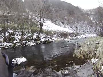 オレ的ルアー釣り　初冬の渓流でブラウントラウト