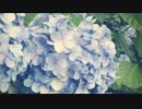 【NNI】どうかなみなみつがせておくれ