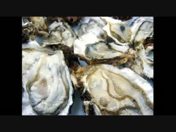 韓国食品の実態