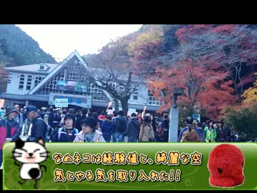 大型自動二輪教習はじめました。part3