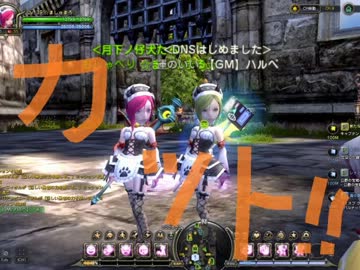 【Dragon Nest】ギルメンに捧ぐ参考(？)動画【NプロK3R・4R】