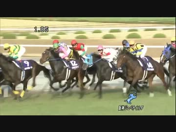 【競馬】第64回阪神ジュベナイルフィリーズ　出走馬