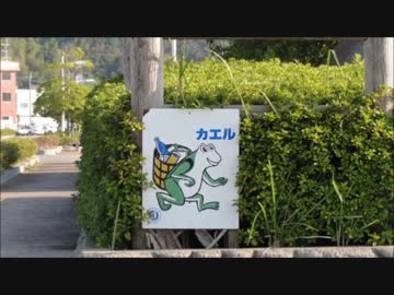 公務員試験落ちたから傷心旅行行ってくる（10日目）