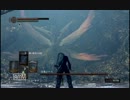 ダークソウルとか解説してみよう。Part18　【反面教師プレイ】