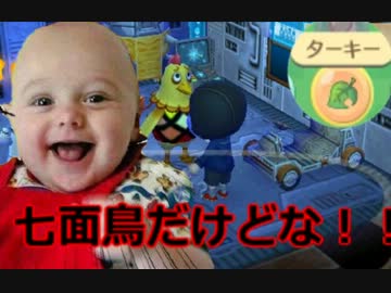 【ぶつ森】とびだせ どうぶつの森 ほっこり字幕プレイ　7ベル【字幕】