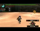 【MHP3】四面楚歌　非火事場 ペア弓×弓　5針
