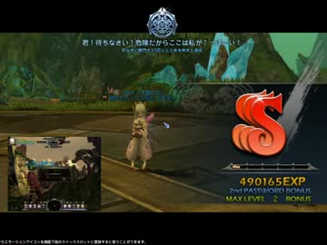 【Dragon Nest】ギルメンに捧ぐ参考(？)動画【NプロKボス戦】