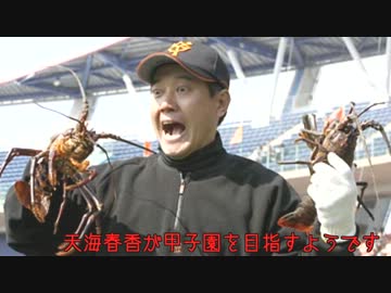 天海春香が甲子園を目指すようです。Part19