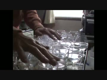 グラスハープで「ザナルカンドにて」弾いてみた