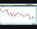 1７ fx手法自腹で体験。雇用統計編