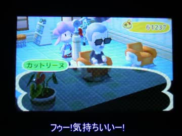 どうぶつの森12月の8日目【イメチェン】
