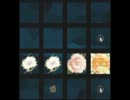 【jubeat saucer】Vanity[EXT] 譜面確認用(フラワー＋クラップ)