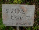 神曲「横浜市泉区」高画質版