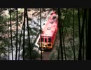 夏の京都嵐山。蝉しぐれに川舟あそび