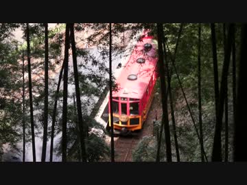 夏の京都嵐山。蝉しぐれに川舟あそび