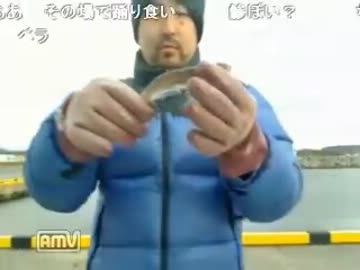 【ニコ生】 秋田ハタハタ釣り