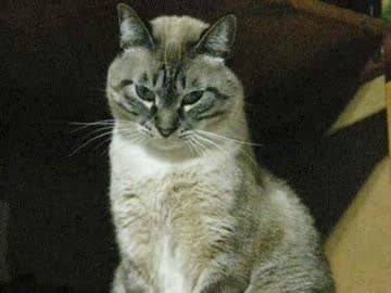 ジャンくんとパパの距離