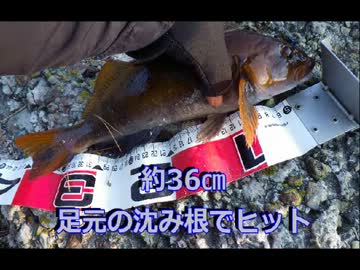 【2012】アイナメ釣りしてきた【ワーム】