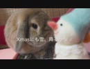 【Xmasまで毎日うp】Sサックスでメリクリ吹いてみた【９日目】　