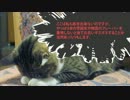 大学の友人にゆっくりクトゥルフ神話TRPGを布教してみた Act.5