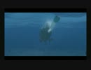 Silent Hunter ４ プレイ動画 「餓狼戦記１９４２」　第１１－２話