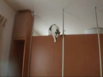 危い！落ちる！！