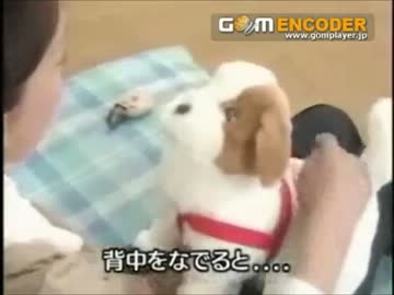 たくしのテスト