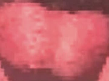 Bad Apple!!は即刻中止せよ！.wmv